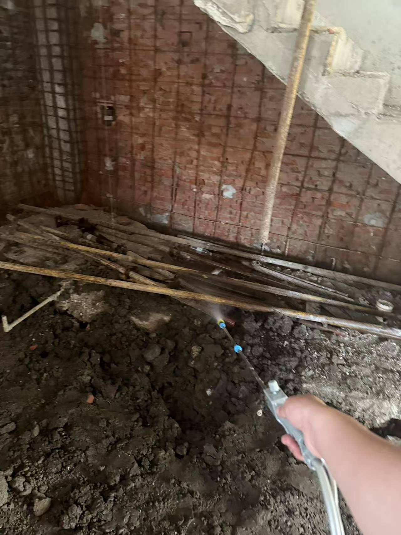 房屋装修白蚁防治